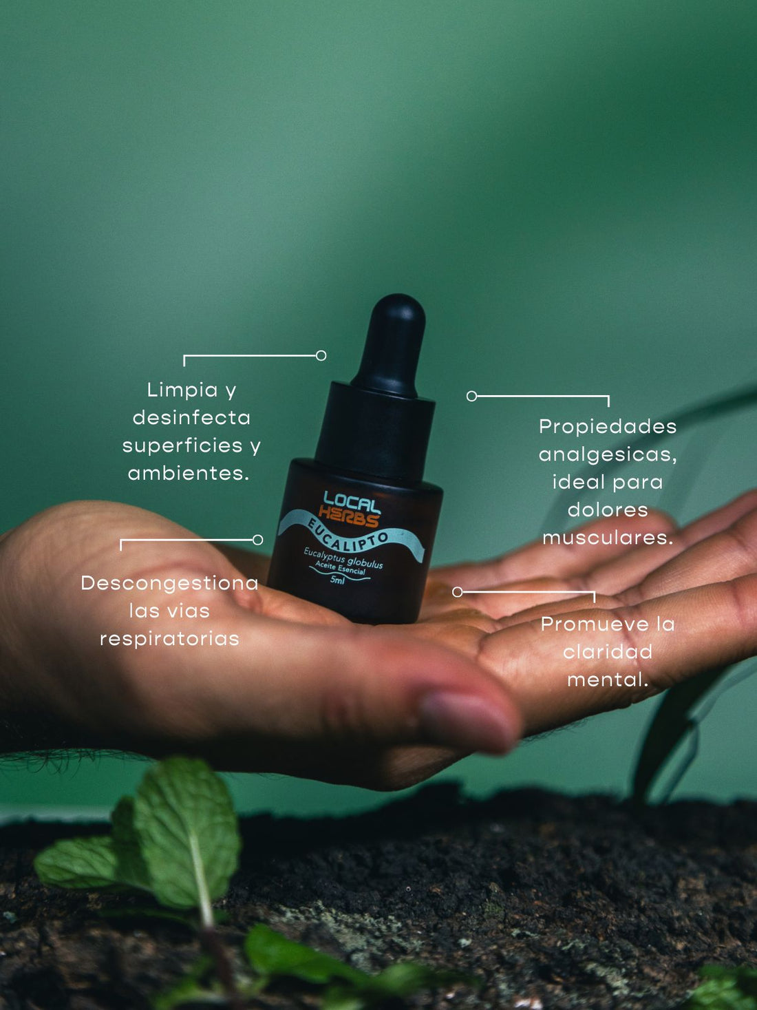 Aceites esenciales: una terapia alternativa