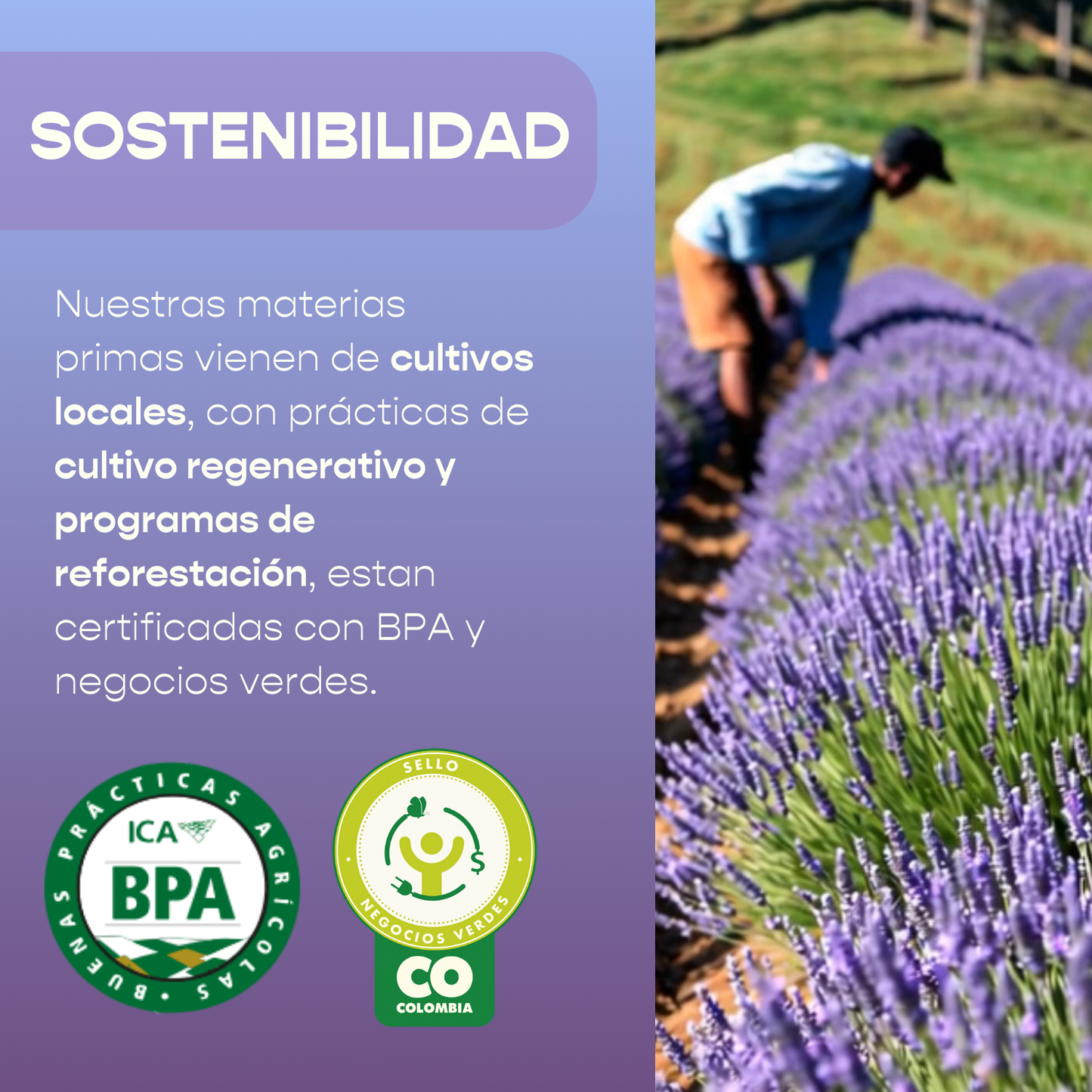 Gotas Relajantes Slow Down 30ml