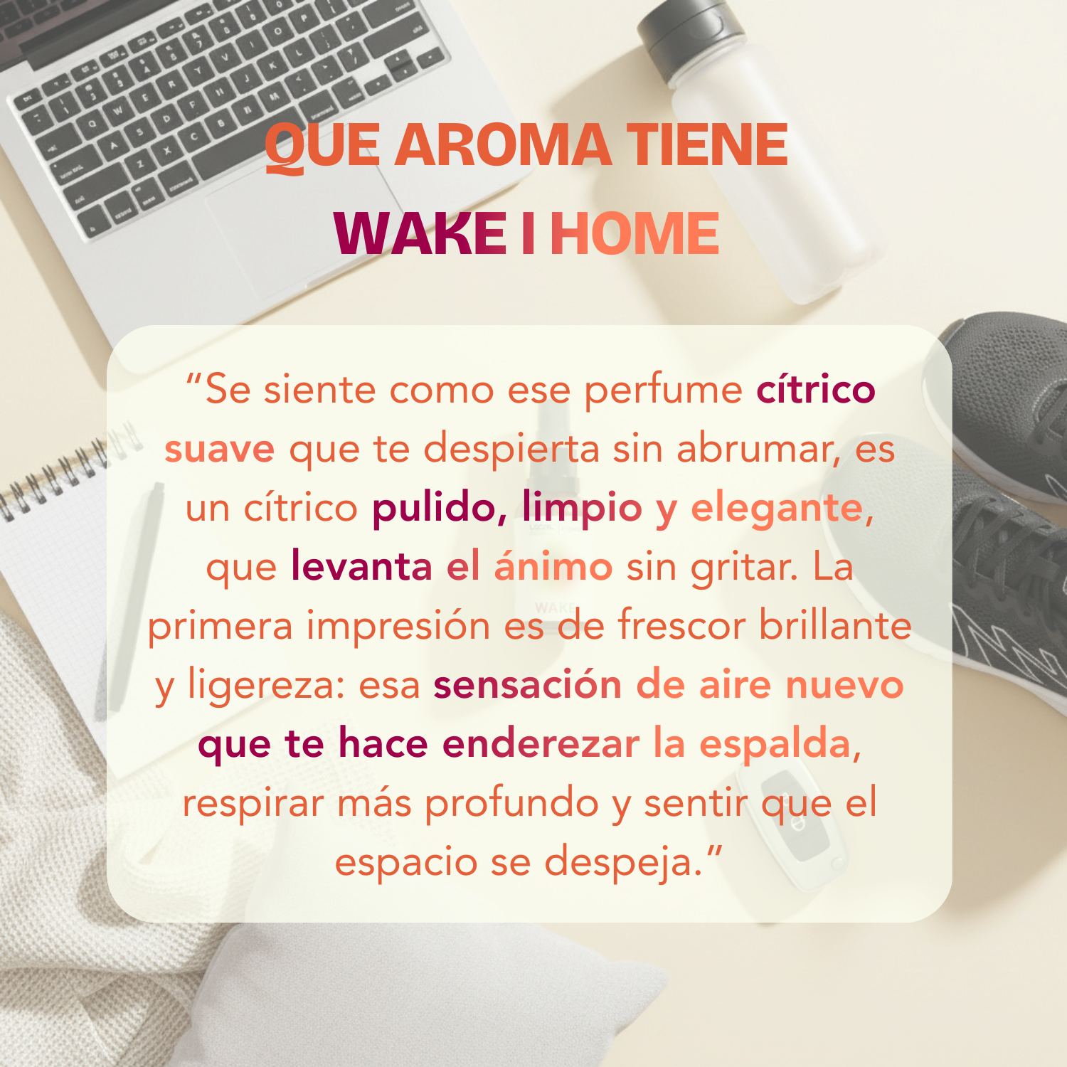 Wake Bruma de Ambiente y Linos 30ml