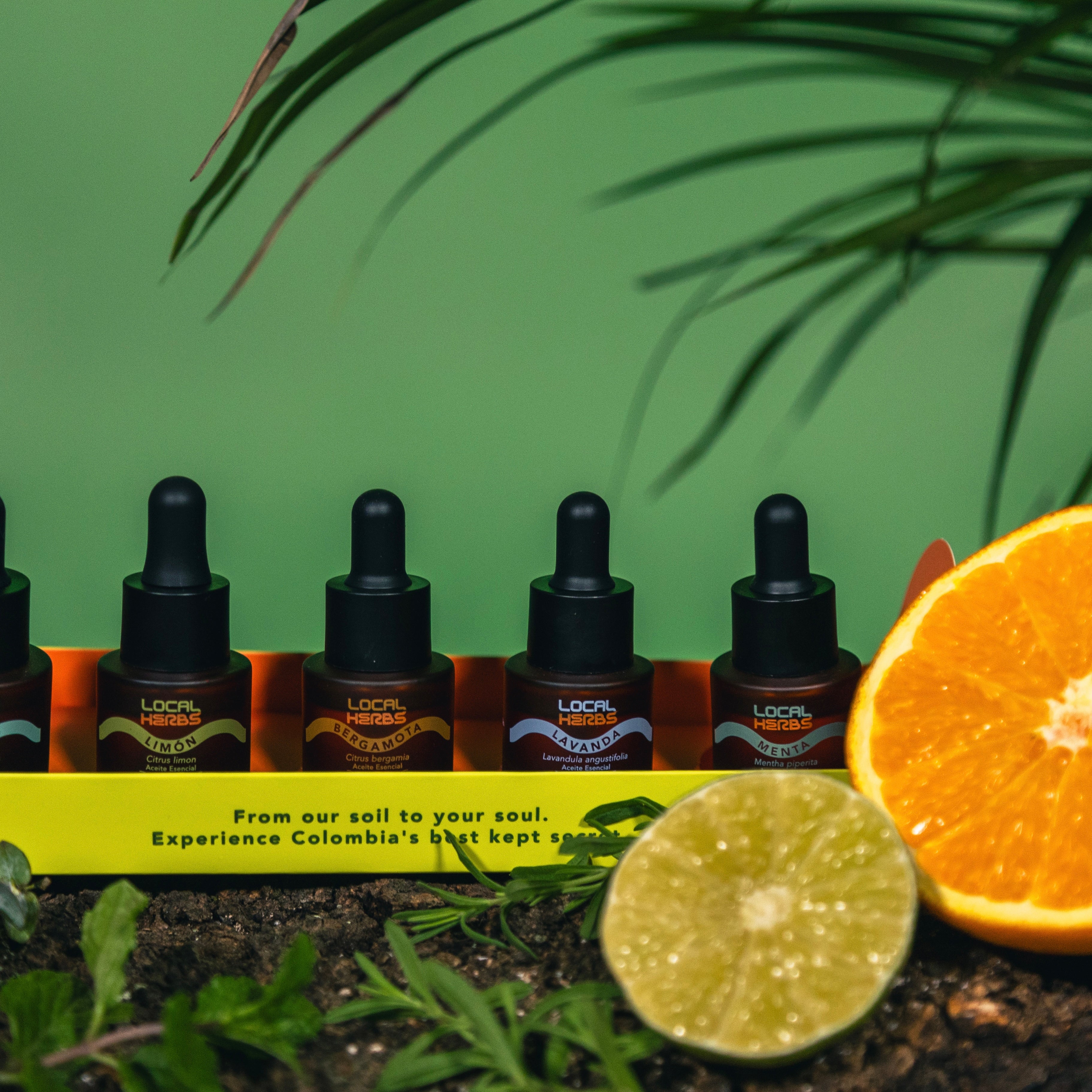5 Aceites Esenciales - Kit 5lapso